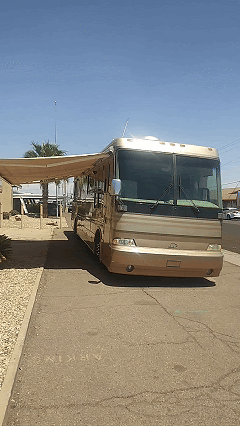 2000 Beaver Marquis Jasper